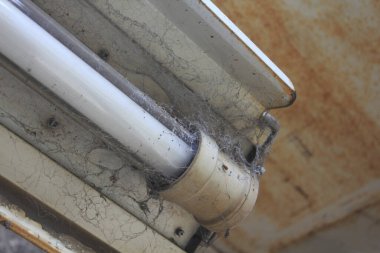 Örümcek ağları ve kir ile tozlu floresan ışık tüpü