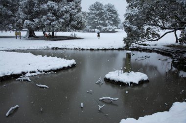 Karlı ağaçlar ve gölle kaplı kış manzarası 