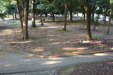 Güzel parkta yaprakları dökülmüş boş bir yol.