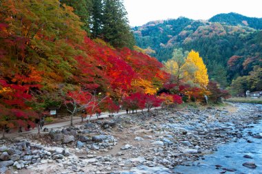Koarashi Valley in autumn clipart