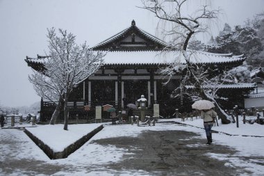 Güzel antik Japon tapınağının manzaralı görüntüsü.
