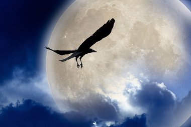 Uçan kuş ve dolunay