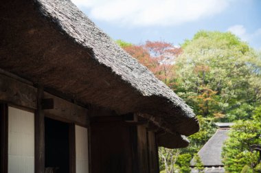 Sazdan çatılı geleneksel Japon evi.