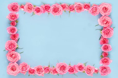 Arka planda güzel pembe güller, kapatın.