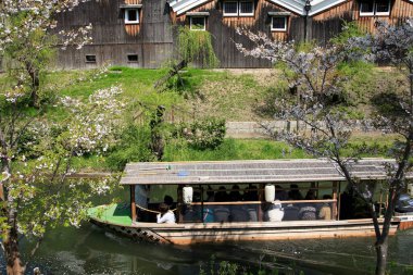 Tahta tekne, insanları çiçek açan ağaçların yakınındaki huzurlu nehir boyunca taşıyor.