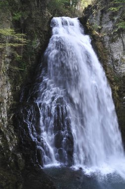 Norveç 'te bir şelale.