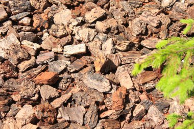 Şömine için kahverengi bir odun yığını.