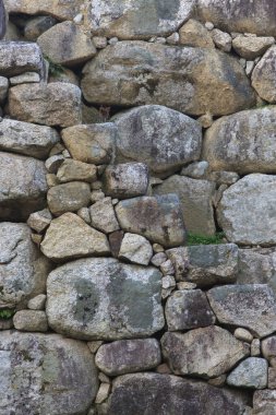 Japonya 'daki antik Hagi Kalesi kalıntıları