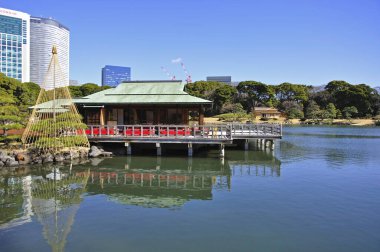 Tokyo güzel, Japonya nehir manzaralı. 