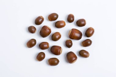 Beyaz arkaplanda palamutlar