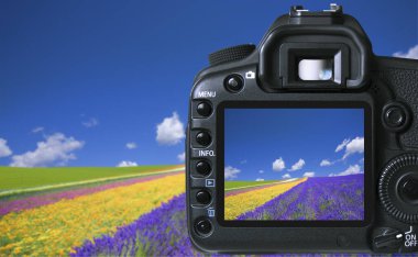 Tarlada güzel çiçekler olan modern dijital kameranın yakın görüntüsü