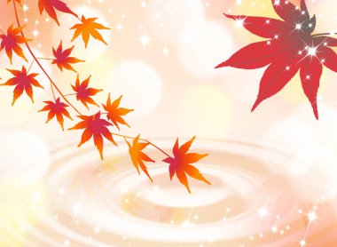 Sonbahar akçaağaç yapraklarıyla kusursuz desen