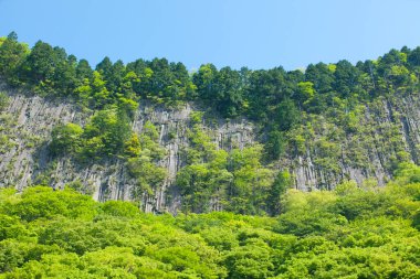 dağ zirvesi ve yeşil ağaçlar 