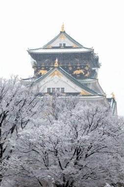 Osaka Kalesi ve kar, Japonya