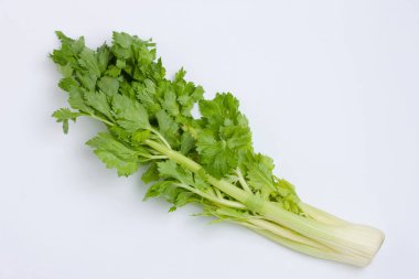 Beyaz arkaplanda izole edilmiş taze kereviz