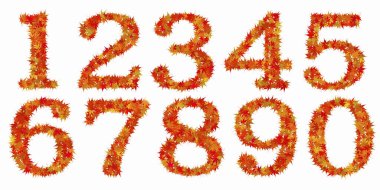 Beyaz arkaplandaki çiçeklerden yapılan numaralar, kapat