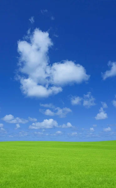 Beautiful Green Field Blue Sky Countryside — Stock Photo, Image