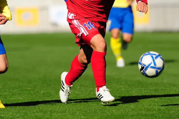 Japonya 'da futbol oynayan erkeklerin kırpılmış bölümü