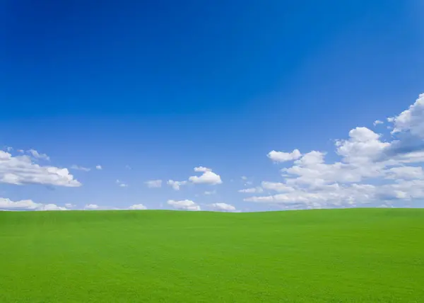 Field Green Sky — Fotografia de Stock