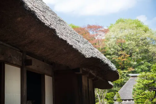 Traditioneel Japans Huis Met Rieten Dak — Stockfoto