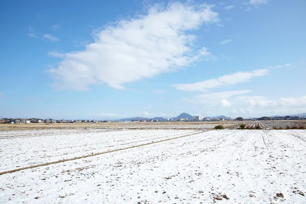 Campo Invierno Con Nieve Cielo Azul — Foto de Stock