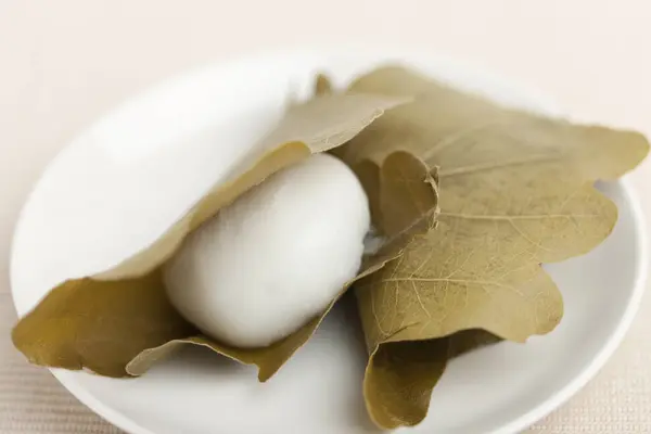 Japanese Sweets Named Kashiwa Mochi — Stock Photo, Image