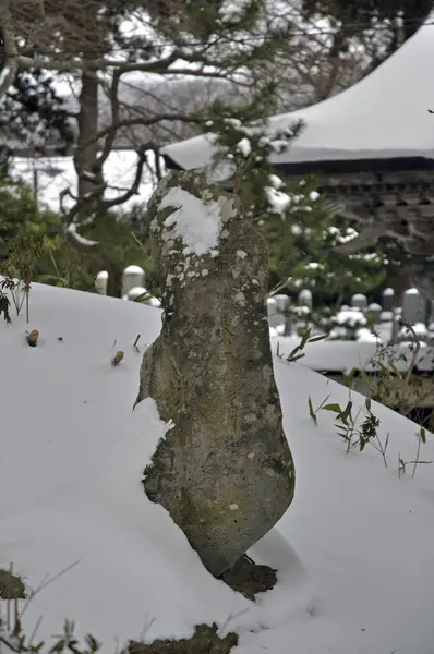 Живописный Снимок Древнего Японского Храма Снегу Покрытого Хоккайдо Япония — стоковое фото
