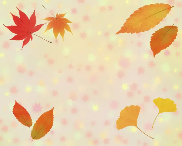秋の葉の美しい抽象的な背景 — ストック写真