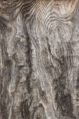 Eski ahşap dokusu. ahşap duvar arkaplanı