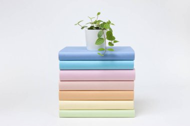 Renkli kapaklı ve saksılı bir yığın kitap.