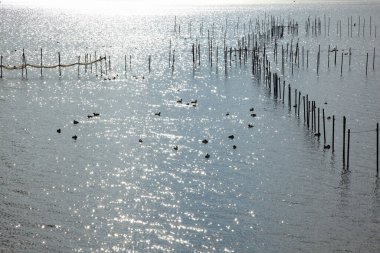 Gölü olan güzel manzara.