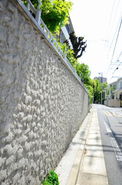 Dar sokağın yanında yeşil desenli taş duvar