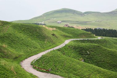Dağlarda yeşil çimenler olan güzel bir manzara.