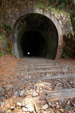Ormandaki tünel manzarası