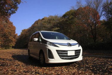 sonbahar ormandaki yolda araba