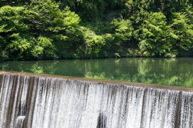 Yeşil ormandaki güzel nehir ve şelale manzarası