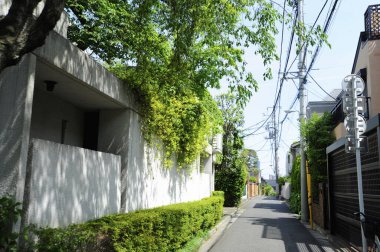 Japon şehrindeki parkın güzel manzarası.