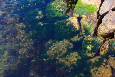 Sakin su yüzeyinde taşlar var. doğal arkaplan
