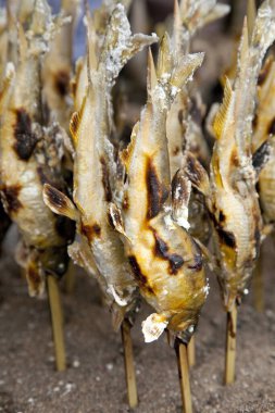 Şişte ızgara balığın yakın plan görüntüsü.      