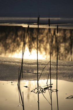 Gölün üzerinde güzel bir gün batımı
