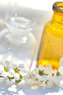 Küçük cam şişelerin yakın plan görüntüsü ve açık arkaplanda güzel beyaz bahar çiçekleri                   