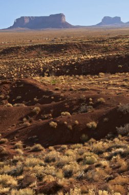 Arizona 'nın güzel renkleri doğa arka planında