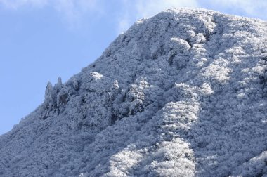 beautiful landscape with snow and trees in the mountains       