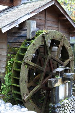 Etrafı yeşilliklerle çevrili ahşap binaya bağlı su çarkı.