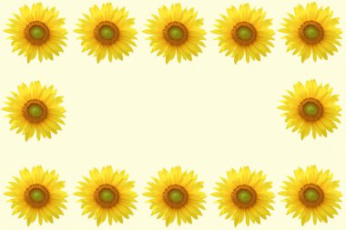 Çiçekli yaz çiçekleri