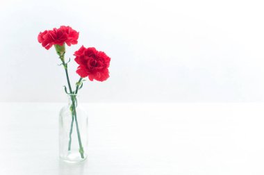 Beyaz arka planda izole edilmiş çiçek buketi, tebrik kartı tamplakası 