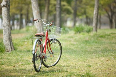 Parktaki yeşil çimlerin üzerinde bisiklet.