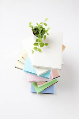Bir yığın renkli kitap ve yeşil bitki beyaz arka planda saksıda