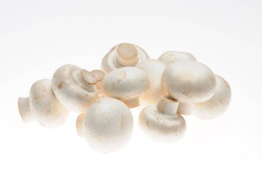 Beyaz arka planda taze beyaz mantarlar