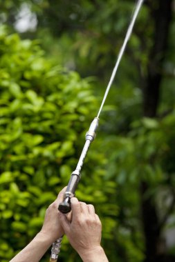 Yazın yeşil bahçeyi sulayan adam. 